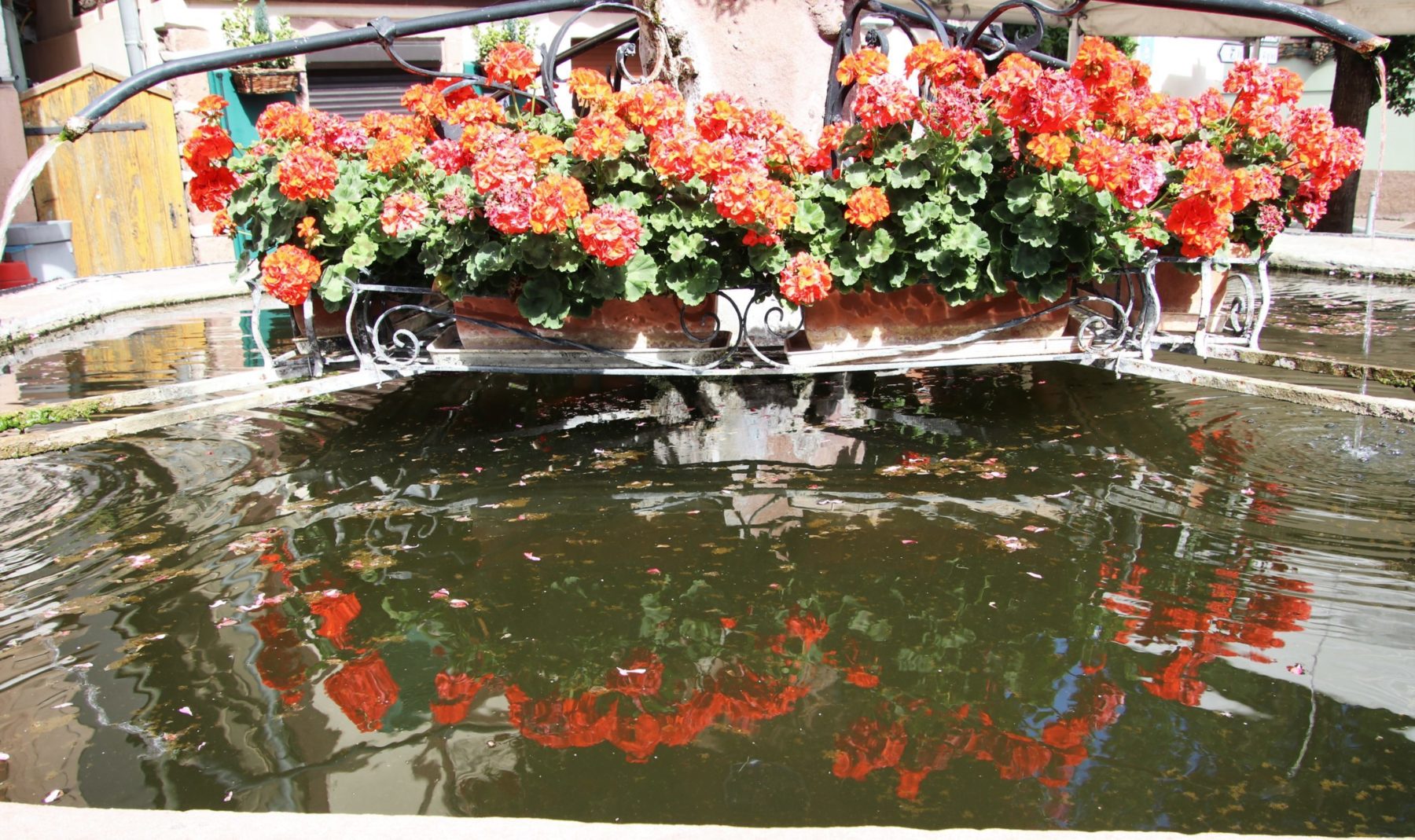 Fontaine fleurs