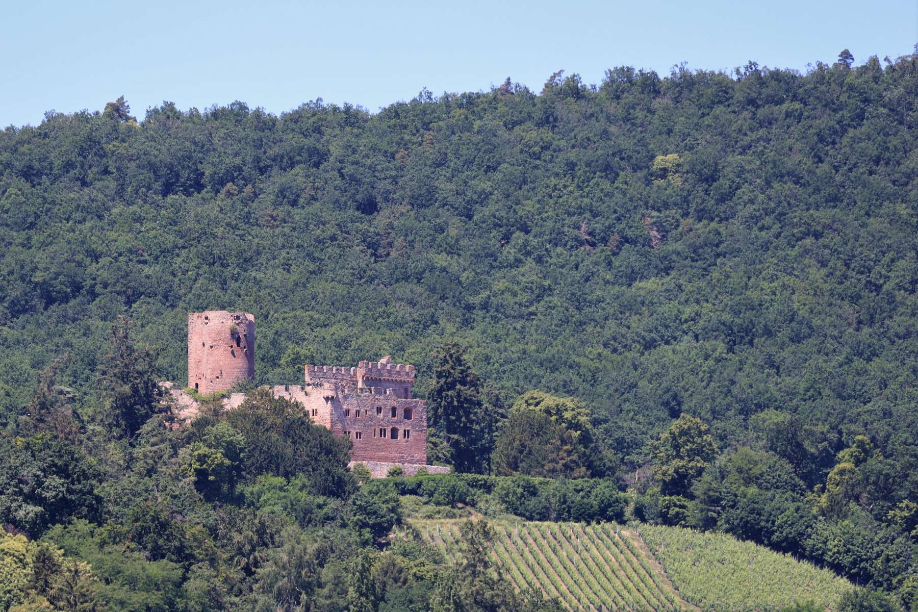 chateau de Kintzheim 2